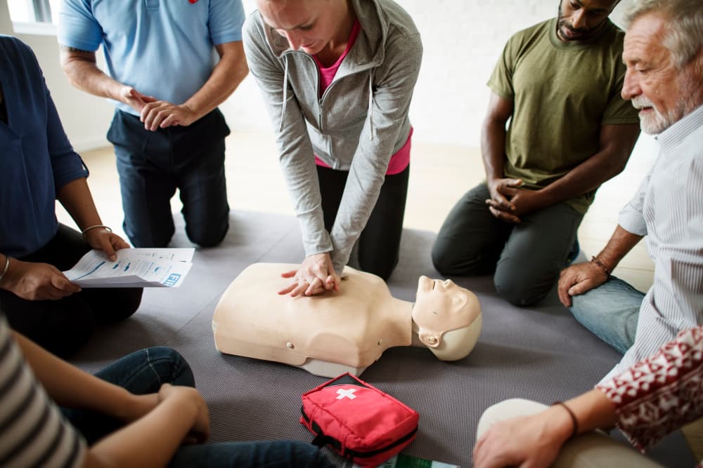 First Aid Training Session